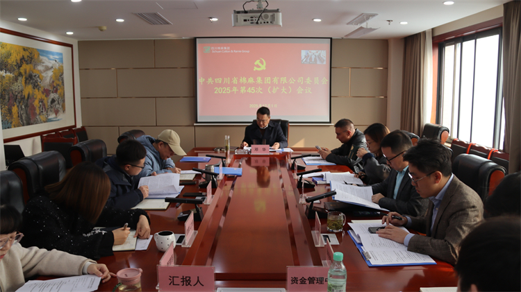 集團(tuán)公司召開2025年第45次黨委（擴(kuò)大）會(huì)議
