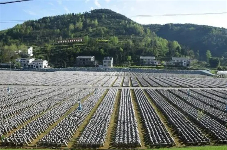 1695195851888787.jpg a2e1ee7c9e4e1d06cb2a0d16997bf44.jpg